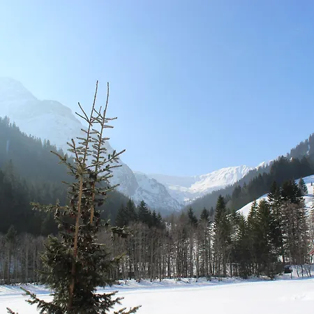 Otel Alpenhotel Widderstein 3*