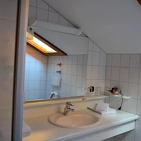 Alpenhotel Widderstein 3*