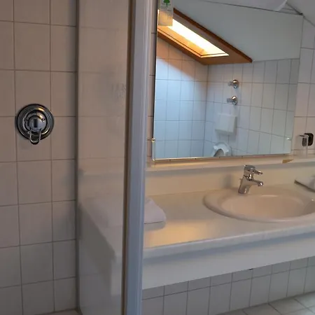 Otel Alpenhotel Widderstein