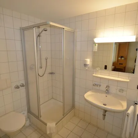 Otel Alpenhotel Widderstein 3*