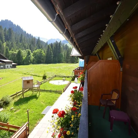 Otel Alpenhotel Widderstein 3*