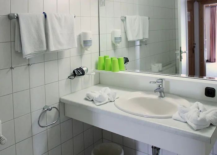 Hotel Alpenhotel Widderstein