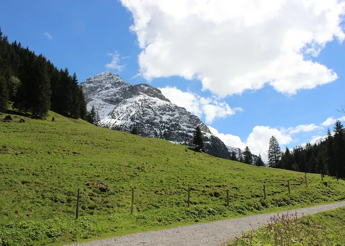 Hotel Alpenhotel Widderstein Mittelberg