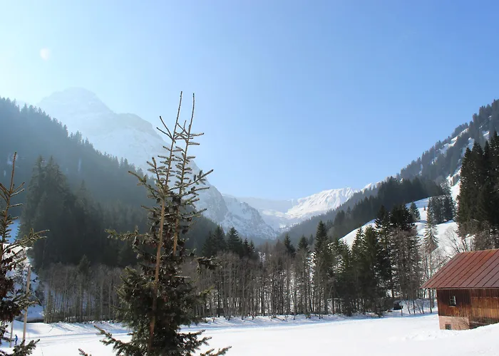 Hotel Alpenhotel Widderstein 3*