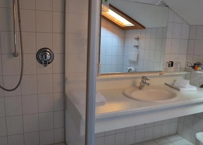 Hotel Alpenhotel Widderstein