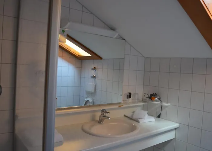 Hotel Alpenhotel Widderstein Mittelberg