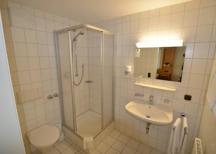 Hotel Alpenhotel Widderstein 3*