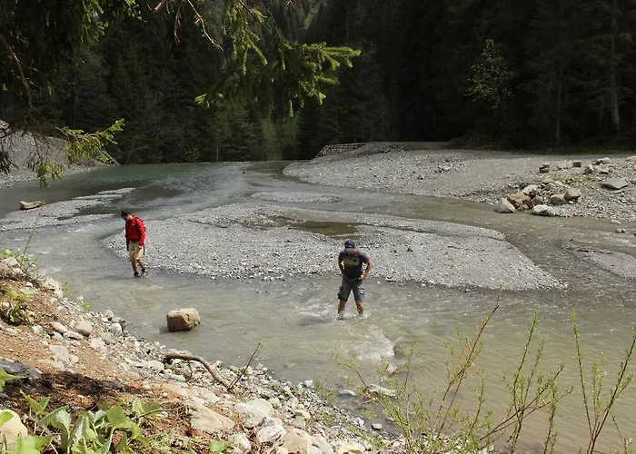 Alpenhotel Widderstein Hotel 3*