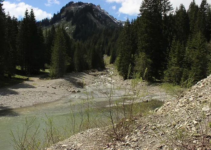 Alpenhotel Widderstein